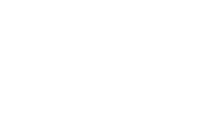 The Coaching Manual